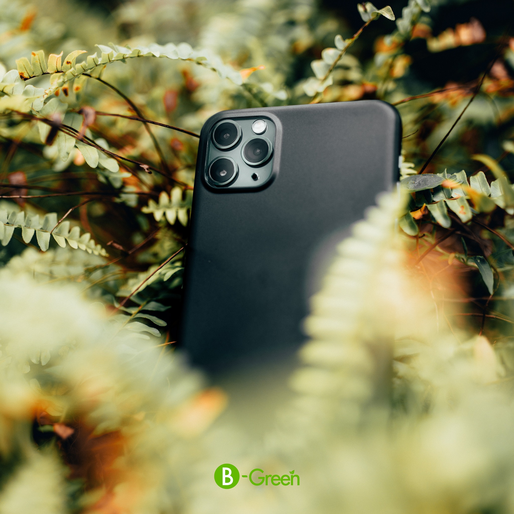 bgreen 2